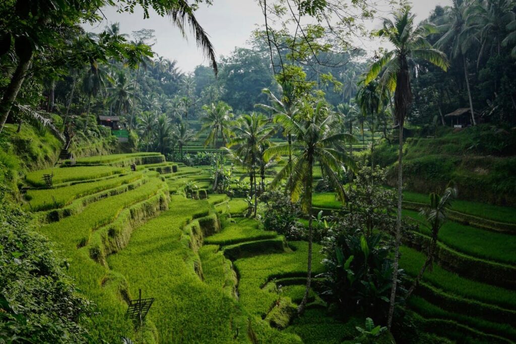 hot countries in april - bali